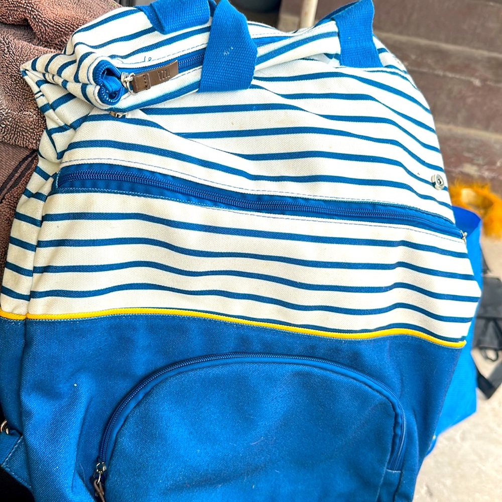 New love Taza 2-in-1 backpack tote